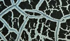 Choosing The Right Abrasive Materials For Electric Die Grinding Tasks